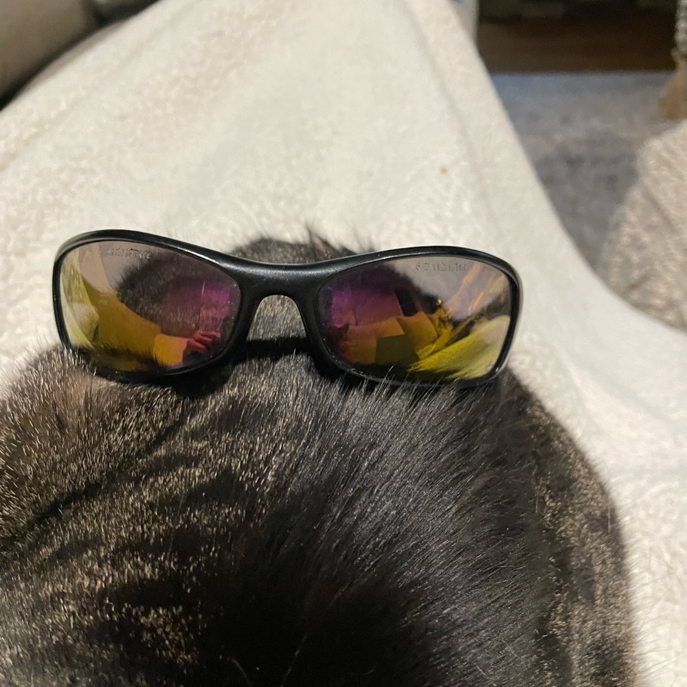 BOLLE Sport Black  Sunglasses spider ski